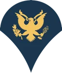 E-4 Specialist rank insignia